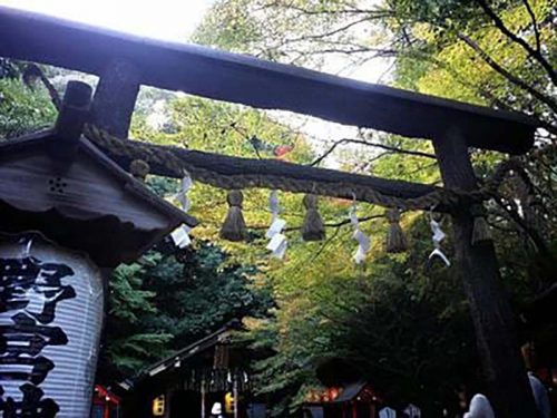 野宮神社の亀石(かめいし)と鳥居