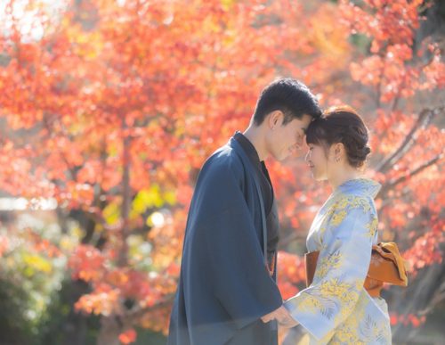 円山公園コース