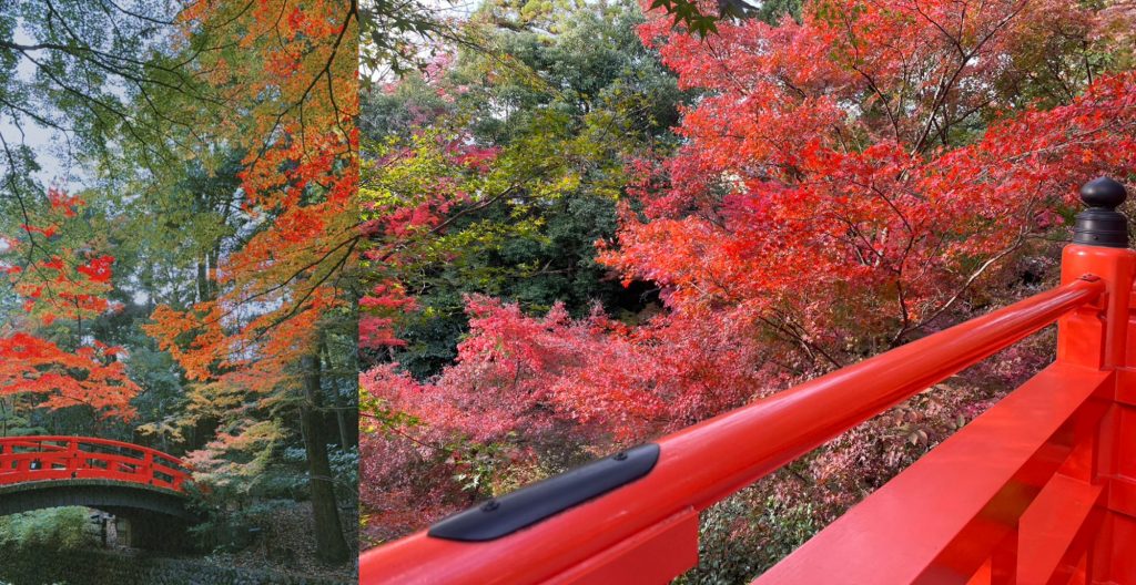 紅葉の毘沙門堂門跡